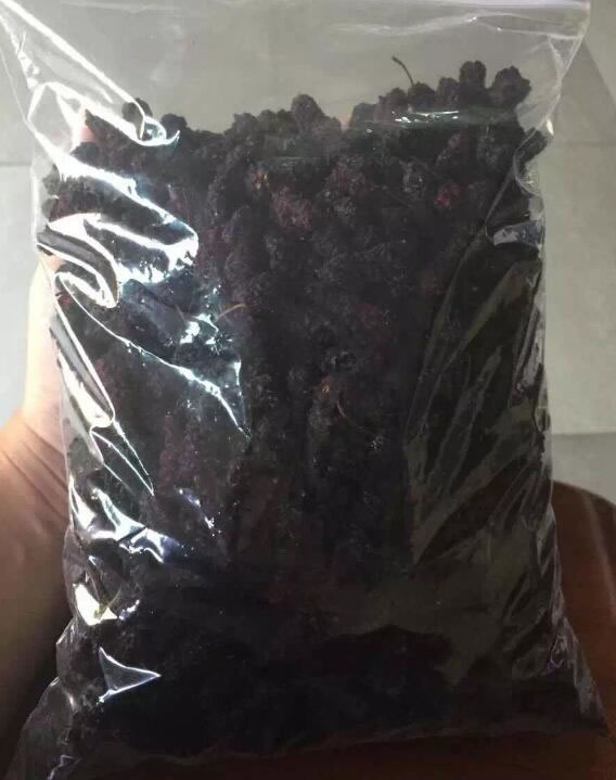 桑葚干成品 桑葚烘干機